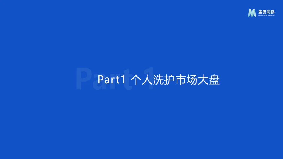 2025个人洗护市场趋势洞察报告-魔镜洞察_3.png