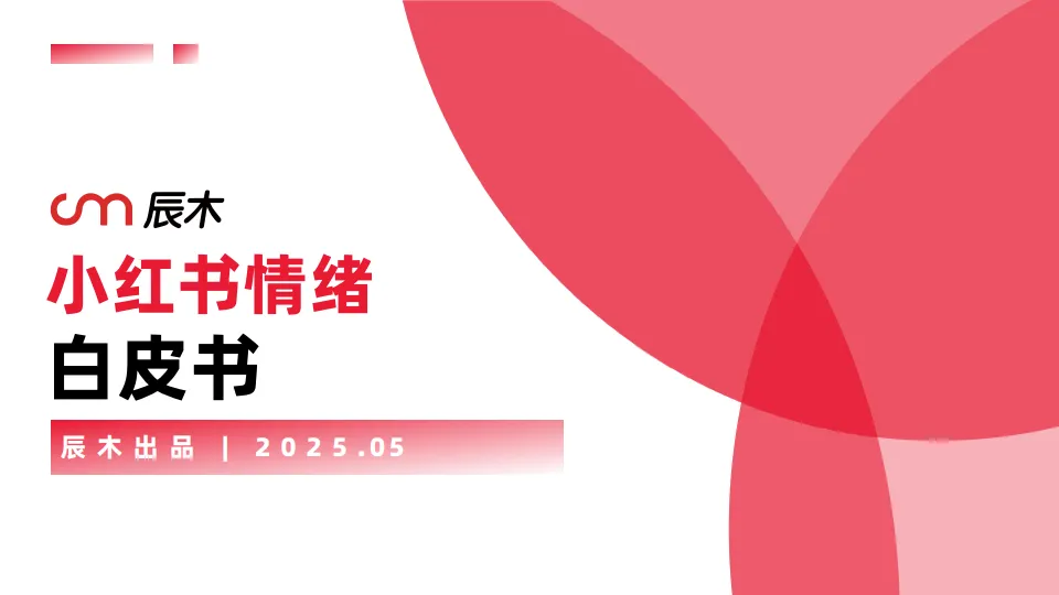 2025小红书情绪营销白皮书-辰木互动.pdf-一起筹课网