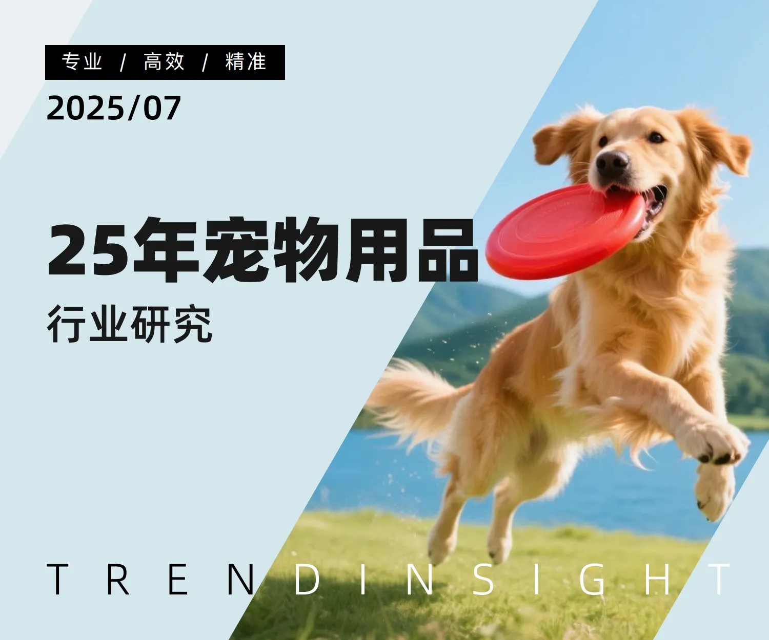 2025年宠物用品行业研究-炼丹炉.pdf-一起筹课网