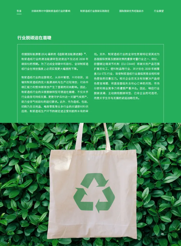 2025年中国林浆纸业脱碳白皮书-德勤&书赞桉诺_9.png