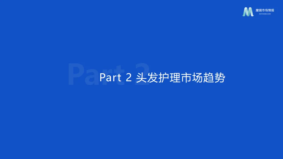 2025个人洗护市场趋势洞察报告-魔镜洞察_9.png