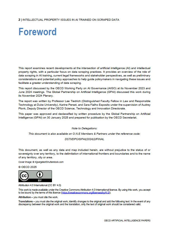 2025年人工智能研究报告-爬取训练数据训练人工智能的知识产权问题（英文原文）-OECD_2.png