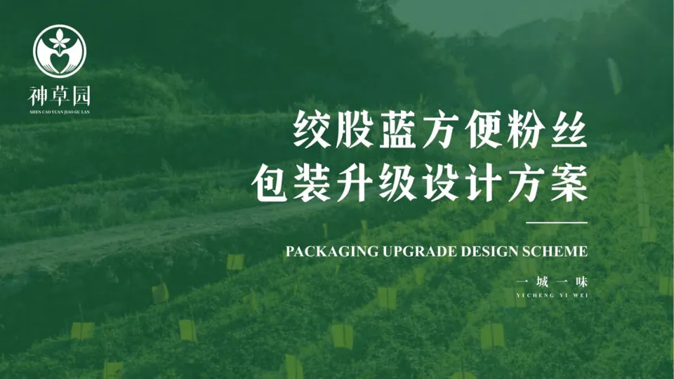 绞股蓝方便粉丝包装升级设计方案.pdf-一起筹课网