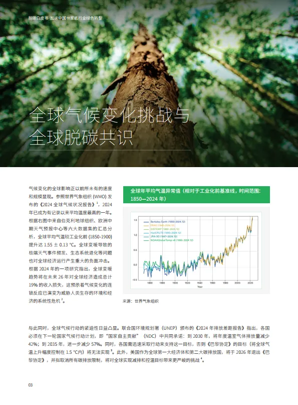 2025年中国林浆纸业脱碳白皮书-德勤&书赞桉诺_6.png