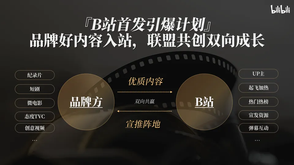 2025哔哩哔哩好内容首发引爆计划营销解决方案_5.png