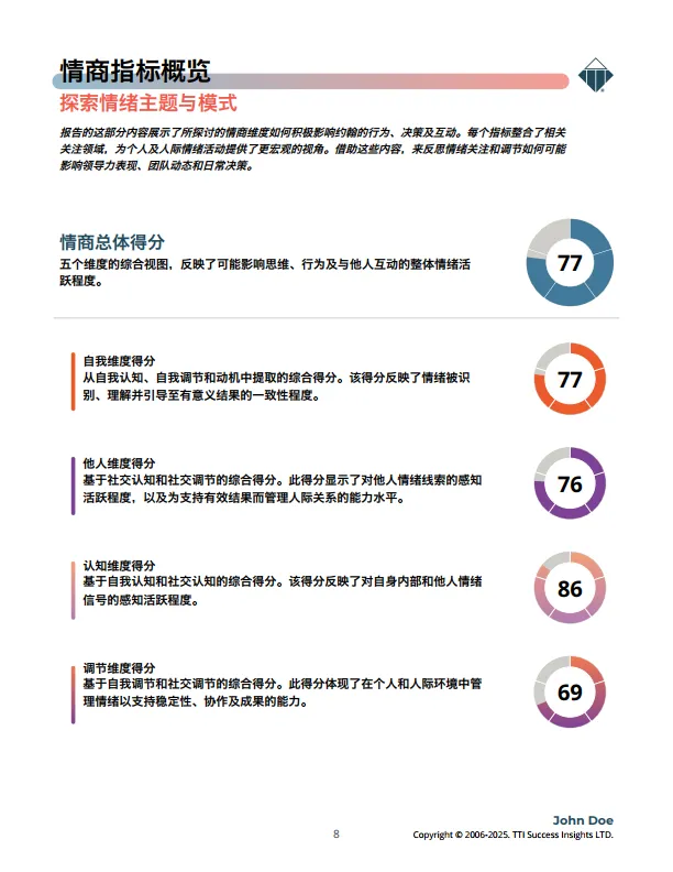 2025年情商3.0样本报告（领导力版）-TTI_8.png