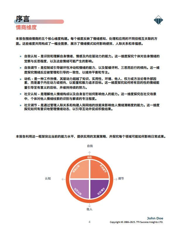 2025年情商3.0样本报告（领导力版）-TTI_4.png