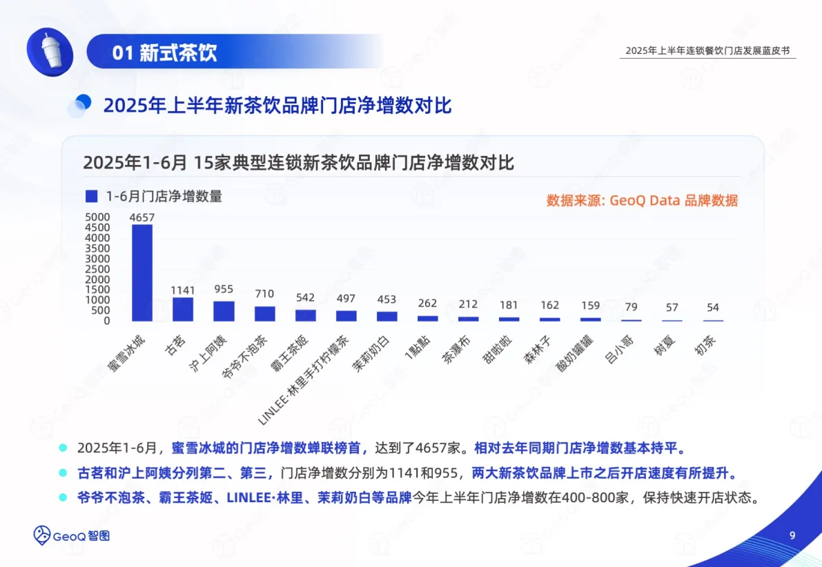 2025年上半年连锁餐饮门店发展蓝皮书-GeoQ智图_9.png