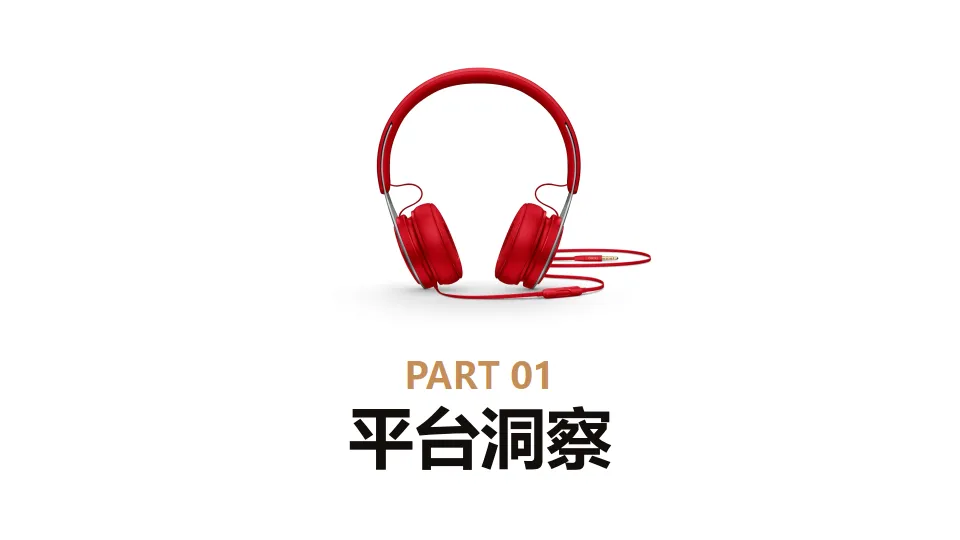 2025年声生不息蜻蜓FM BP营销通案_3.png