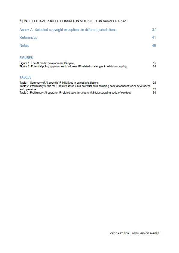 2025年人工智能研究报告-爬取训练数据训练人工智能的知识产权问题（英文原文）-OECD_6.png