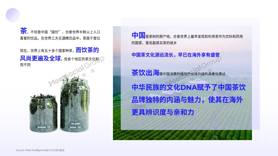 2025年中国茶饮出海全景报告-飞书深诺_10.png