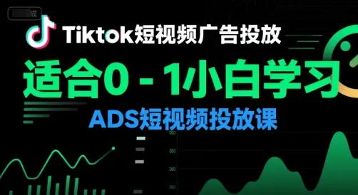 万三老师·Tiktok短视频广告投放【视频:37节】