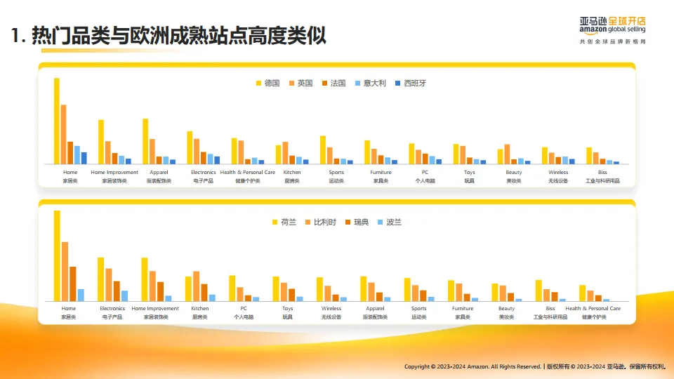 2025年亚马逊欧洲新兴站点上半年选品宝典-亚马逊全球开店_4.png