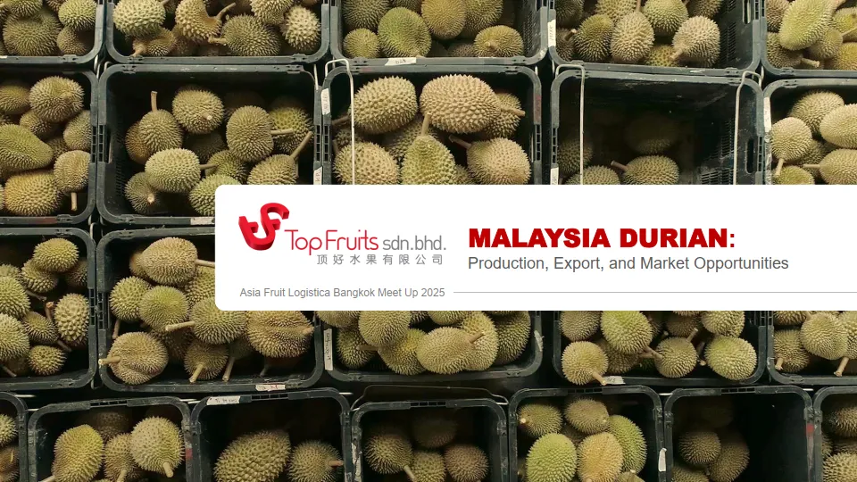马来西亚榴莲生产出口和市场机会.pdf-一起筹课网
