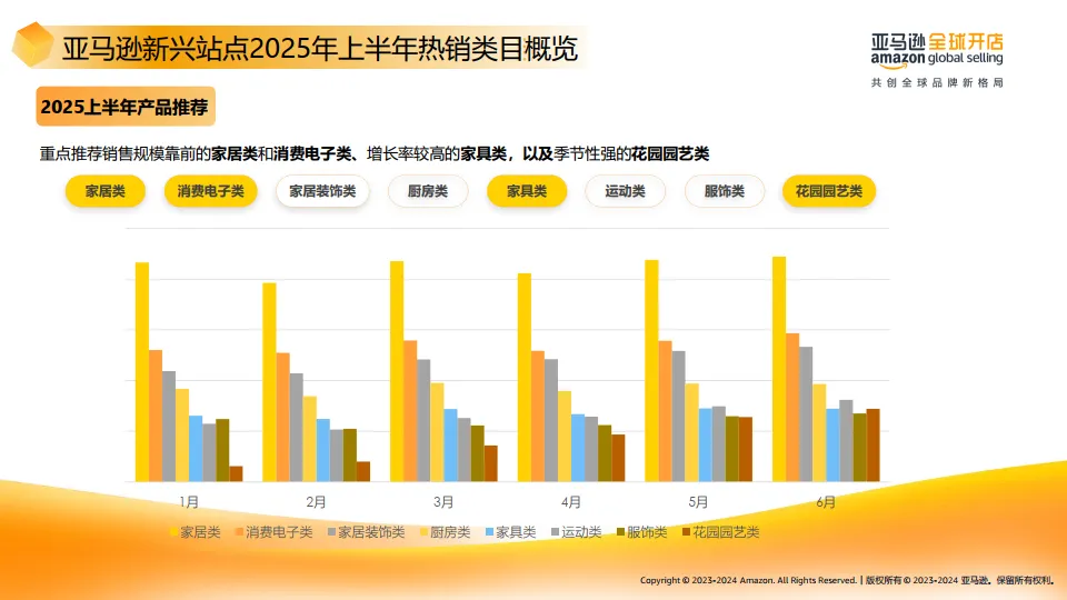 2025年亚马逊欧洲新兴站点上半年选品宝典-亚马逊全球开店_9.png