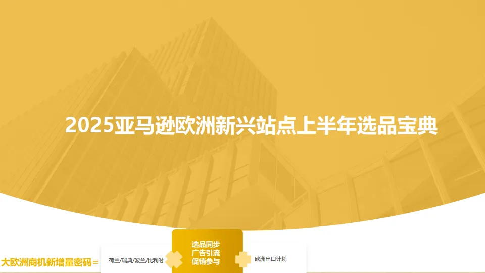 2025年亚马逊欧洲新兴站点上半年选品宝典-亚马逊全球开店.pdf-一起筹课网