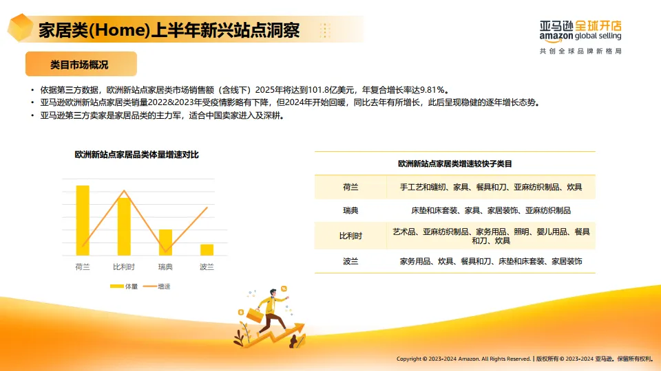 2025年亚马逊欧洲新兴站点上半年选品宝典-亚马逊全球开店_10.png