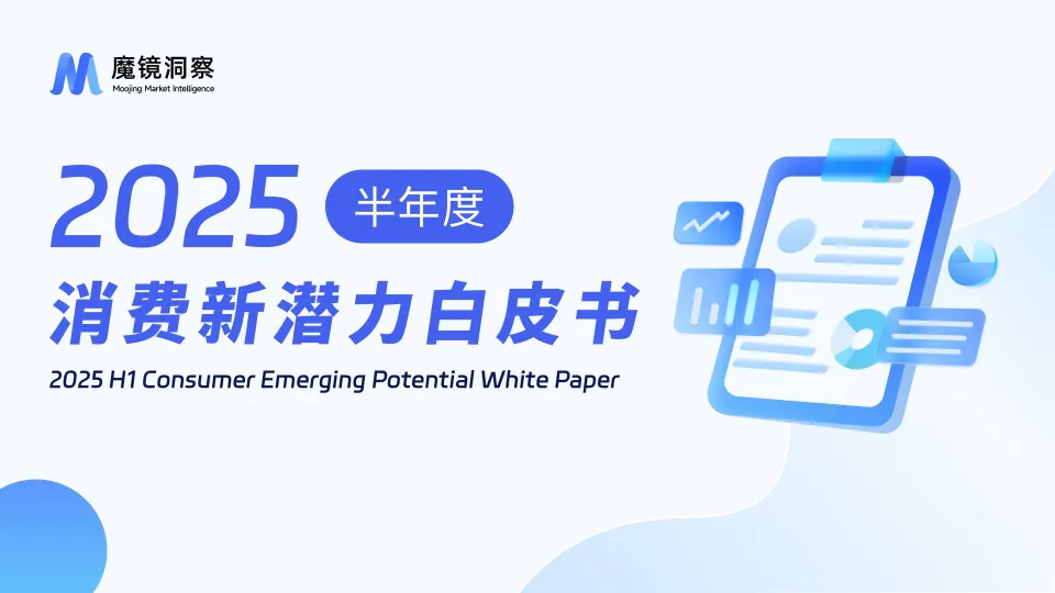 2025半年度消费新潜力白皮书-魔镜洞察.pdf-一起筹课网