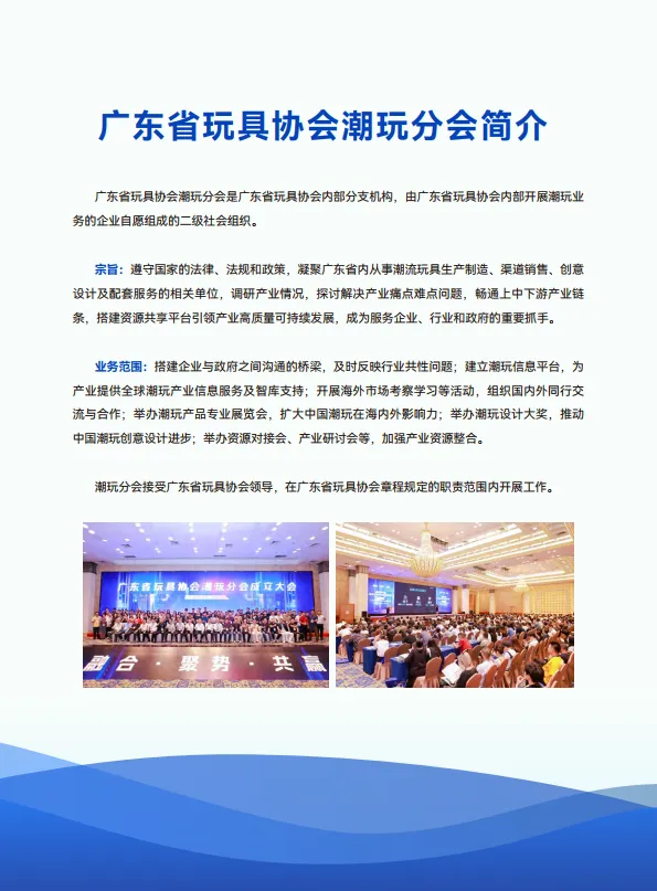 2025年东南亚潮玩市场考察报告-广东省玩具协会_3.png