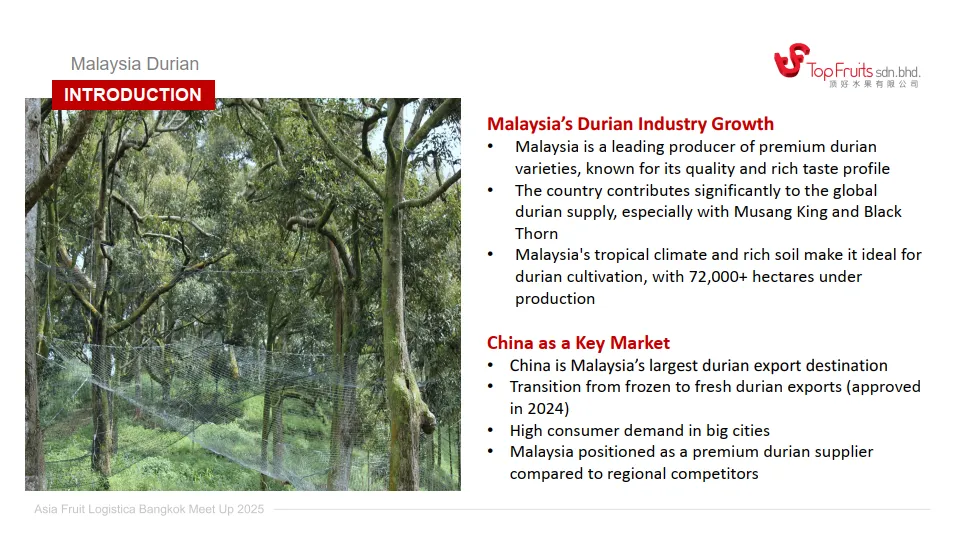 马来西亚榴莲生产出口和市场机会_2.png