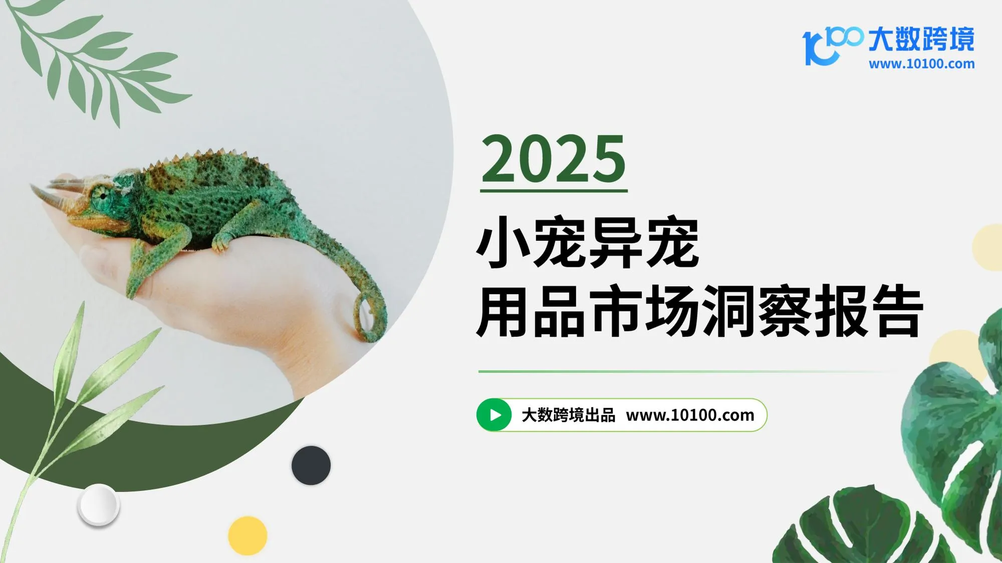 2025小宠异宠用品市场洞察报告-大数跨境.pdf-一起筹课网