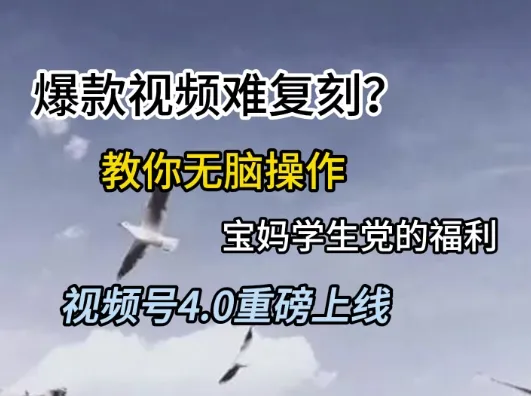 视频号4.0重磅上线，爆款视频难复刻？教你无脑操作宝妈学生党的福利【揭秘】-一起筹课网