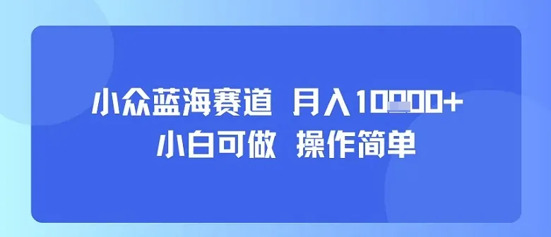 小众蓝海赛道，小白可做，操作简单，每天30分钟，月入1W+-一起筹课网
