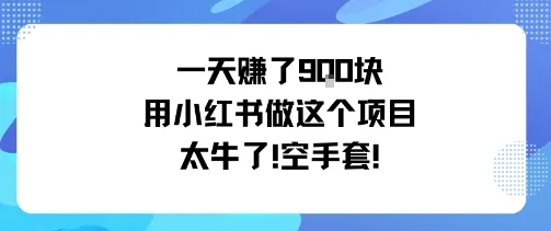 一天挣了9张用小红书做这个项目太牛了，空手套-一起筹课网