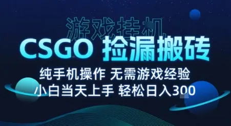 8月最新游戏搬砖,CSGO纯挂G,不需要玩游戏,实现真挂G,月入1W+【揭秘】