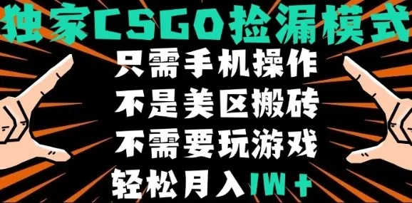 CSGO自动捡漏项目,最新独家玩法,不是美区搬砖,不需要了解和玩游戏,新手小白轻松月入1W+【揭秘】-一起筹课网