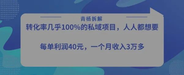 转化率最高的私域项目，每单利润40-50米，月入过1w-一起筹课网