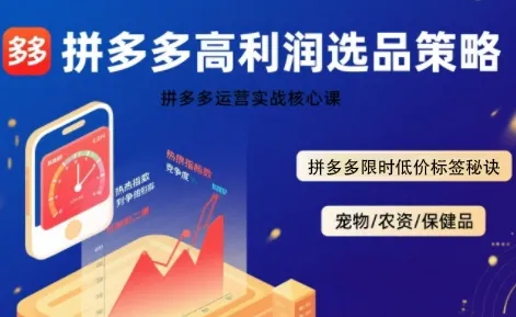 拼多多选品暴利技术实战课,拼多多高利润选品策略,拼多多限时低价标签秘诀-一起筹课网