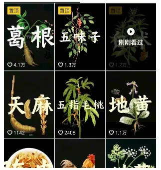 抖音中草药赛道,用AI做中草药故事视频,45条作品涨粉13W,橱窗带货猛猛出单