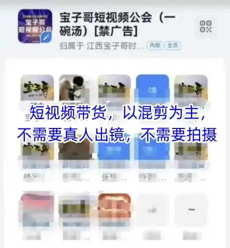 宝子哥头部团队短视频带货,以混剪为主,不需要真人出镜,不需要拍摄【更新12月】-一起筹课网