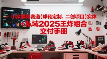 小众暴利赛道(球鞋定制，二创项目)实体+私域2025王炸组合 交付手册-一起筹课网
