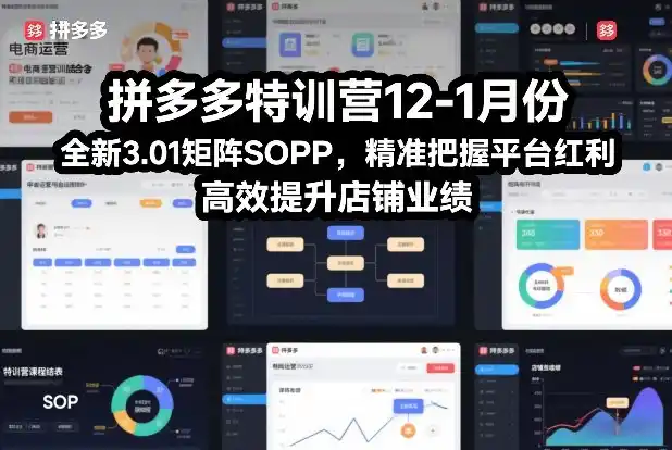 拼多多特训营12-1月份,全新3.01矩阵Sop,精准把握平台红利,高效提升店铺业绩-一起筹课网