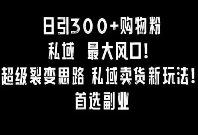日引300+购物粉,超级裂变思路,私域卖货新玩法,小红书首选副业【揭秘】-一起筹课网