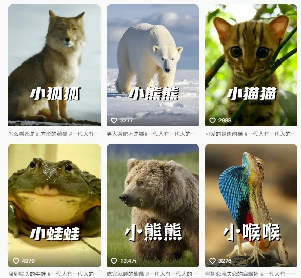 最新搞笑动物百科详细解说课程,蓝海赛道,流量非常大,轻松签独家进精选