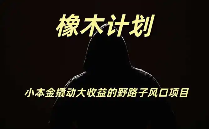橡木计划，小投入撬动高回报的风口野路子项目，一天投入2小时左右-一起筹课网