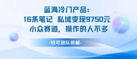 蓝海项目:16条笔记私域变现9750米小众赛道操作的人不多