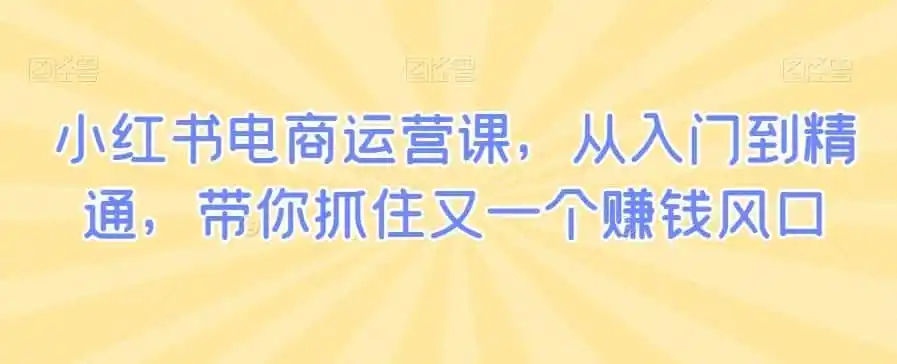 小红书电商运营课,从入门到精通,带你抓住又一个赚钱风口-一起筹课网