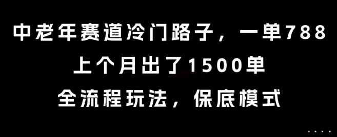 中老年赛道冷门路子，一单788，上个月出了1500单，全流程玩法，保底模式【揭秘】-一起筹课网