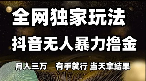 全网独家玩法抖音无人暴力撸金，月入3W，有手就行，当天拿结果【揭秘】-一起筹课网
