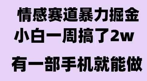情感暴力掘金项目，新人操作一周挣了2W，长期稳定小白可做【揭秘】-一起筹课网