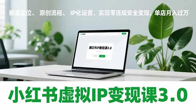 小红书虚拟IP变现课3.0，赛道定位、原创流程、IP化运营，实现零违规安全变现，单店月入过万-一起筹课网