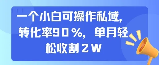 一个小白可操作私域，转化率90%，单月轻松收割2W-一起筹课网