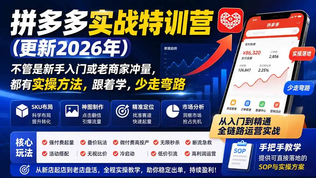 拼多多实战特训营(更新26年0821-一起筹课网