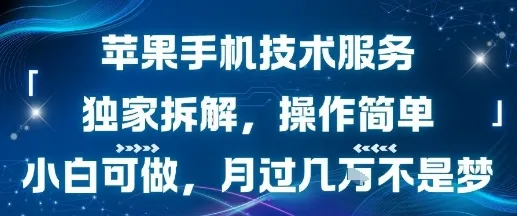 苹果手机技术服务,独家拆解,操作简单,小白可做,月过1W不是梦