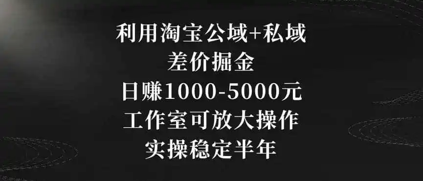 利用淘宝公域+私域差价掘金,日赚1000-5000元,工作室可放大操作,实操稳定半年【揭秘】-一起筹课网