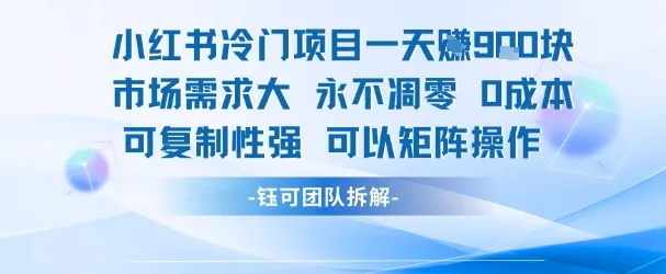 小红书冷门项目一天收益9张，市场需求大，0成本，可复制性强可以矩阵操作-一起筹课网